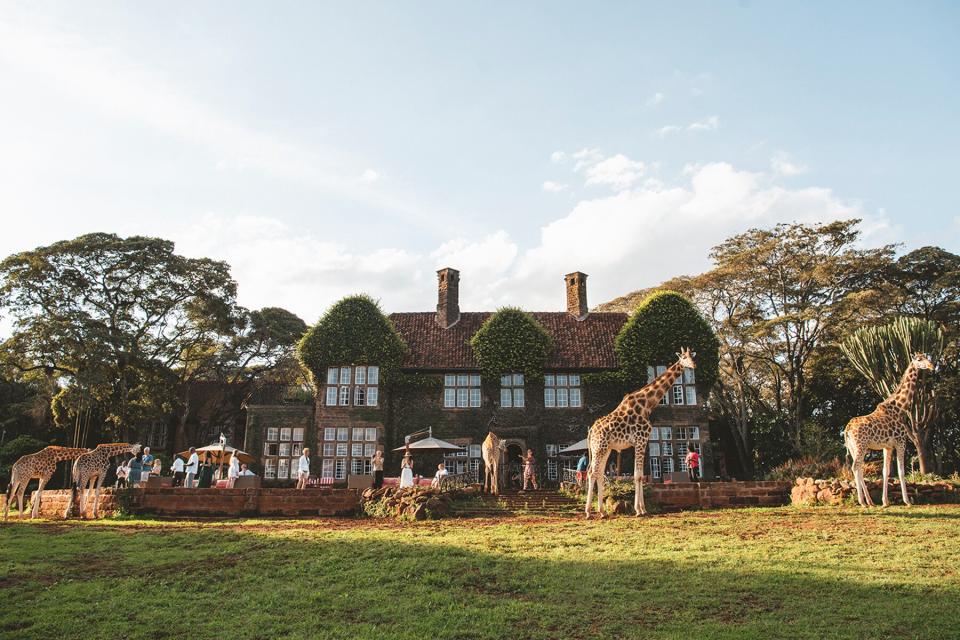 Afternoon Tea at Giraffe Manor