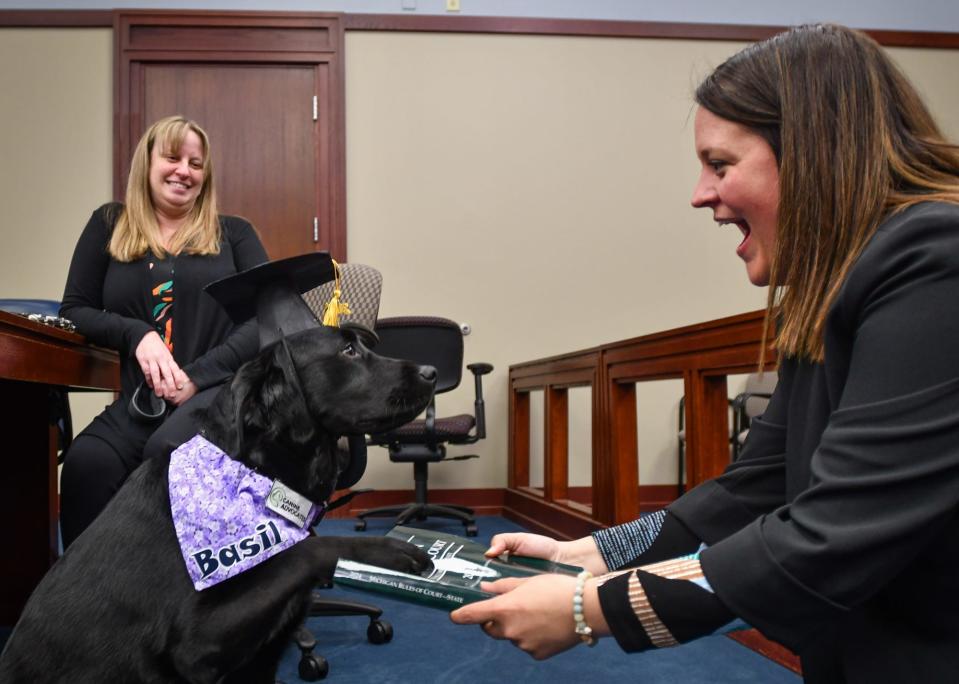 Ingham County Chief Assistant Prosecuting Attorney Nicole Matusko rehearses "swearing in" the office's newest staff member, emotional support dog 'Basil,' Wednesday, May 15, 2024, in Judge Joyce Draganchuk's courtroom. Also pictured is victim rights advocate Marissa Berry. "We have shared custody," Matusko and Berry joked, Berry is Basil's handler during the day when she meets with victims. Basil lives with Matusko.