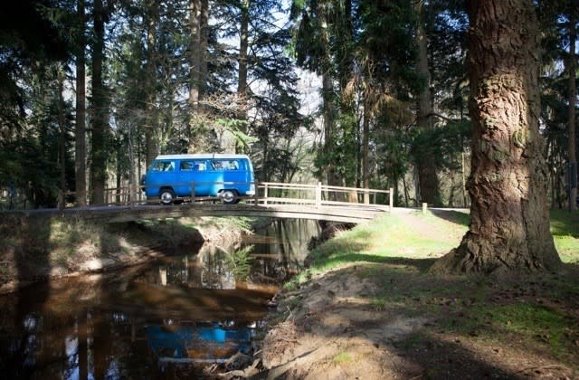 New Forest Safari Campers