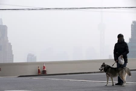 A woman wearing a face mask walks with her dog on a bridge in front of the financial district of Pudong amid heavy smog in Shanghai, China, December 15, 2015. REUTERS/Aly Song