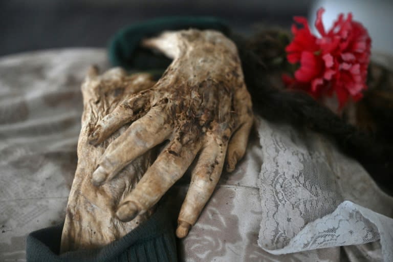 Les mains de la dépouille momifiée de Saturnina Torres, décédée en 1993, au Musée des momies de San Bernardo, en Colombie, le 10 avril 2024 (Raul ARBOLEDA)