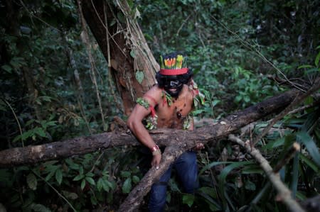 The Wider Image: Fighting fire with fire, Amazon 'forest guardians' stalk loggers