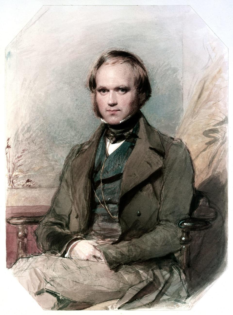 <div class="inline-image__caption"><p>A young Charles Darwin in 1840.</p></div> <div class="inline-image__credit">GraphicaArtis/Getty Images</div>