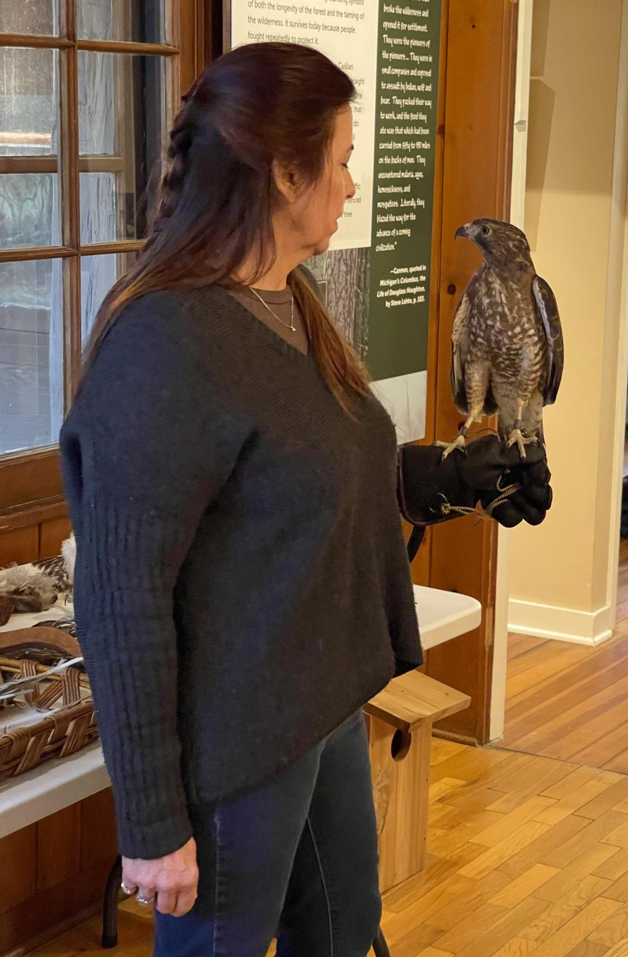 An unidentified volunteer with the Skegemog Raptor Center holds "Esther," a broad-winged hawk, at a previous workshop at the Pigeon River Country Discovery Center. The 2024 series will begin on April 20.