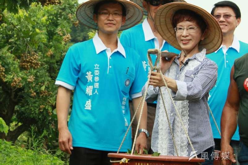 國民黨總統參選人洪秀柱1日到台南市東山區採龍眼，體驗農民生活（周怡孜攝）