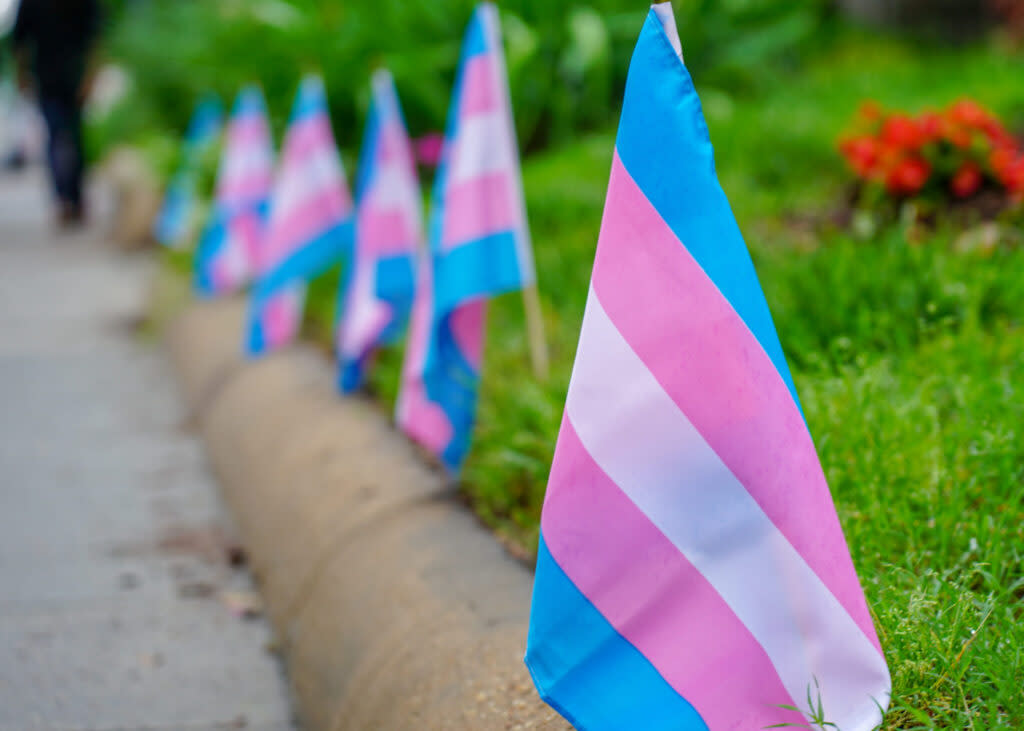 transgender pride flags