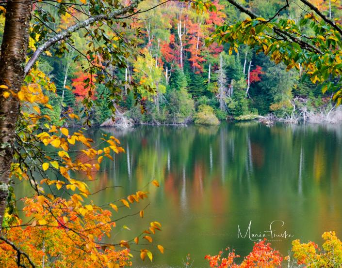 Shoreline photograph by Marie Friske of the Charlevoix Photography Club.