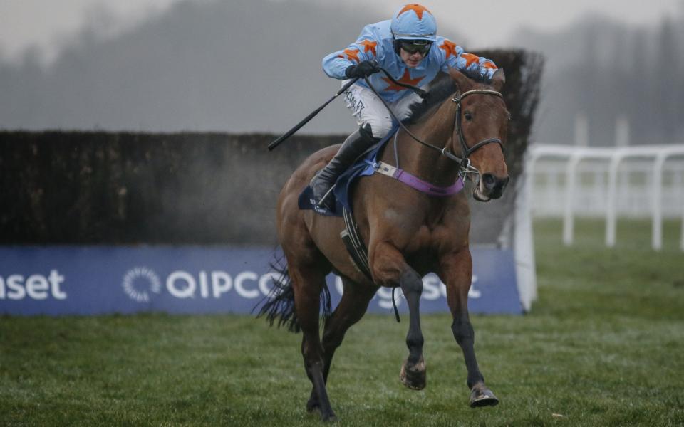 Victory was Un De Sceaux's 20th of his career - Getty Images Europe