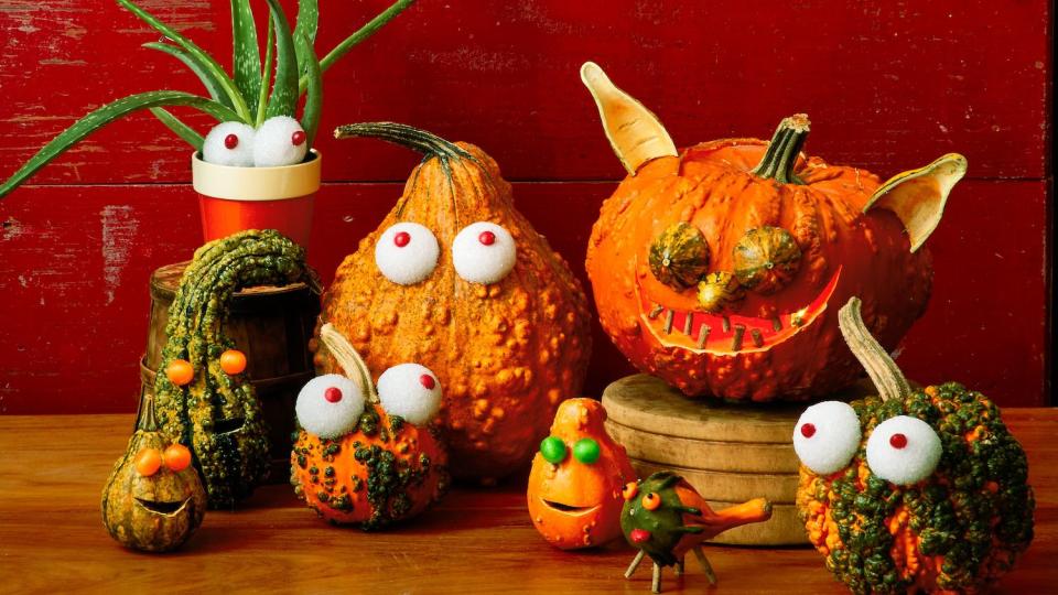 pumpkin carving ideas gourd family