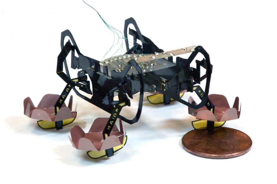 Harvard is developing a knack for tiny amphibious robots. Its researchers have