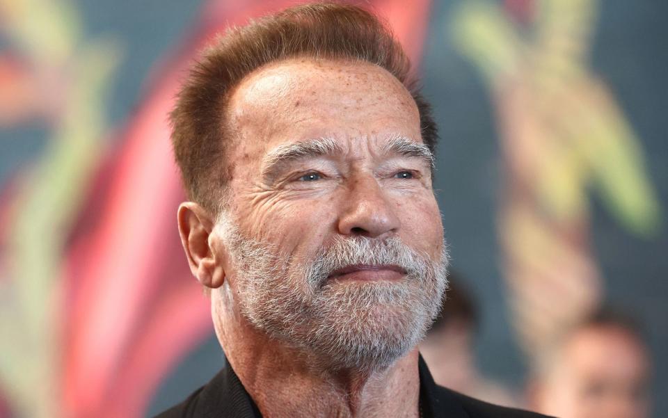 Von 2003 bis 2011 war Arnold Schwarzenegger der 38. Gouverneur Kaliforniens. (Bild: 2023 Getty Images/Mario Tama)
