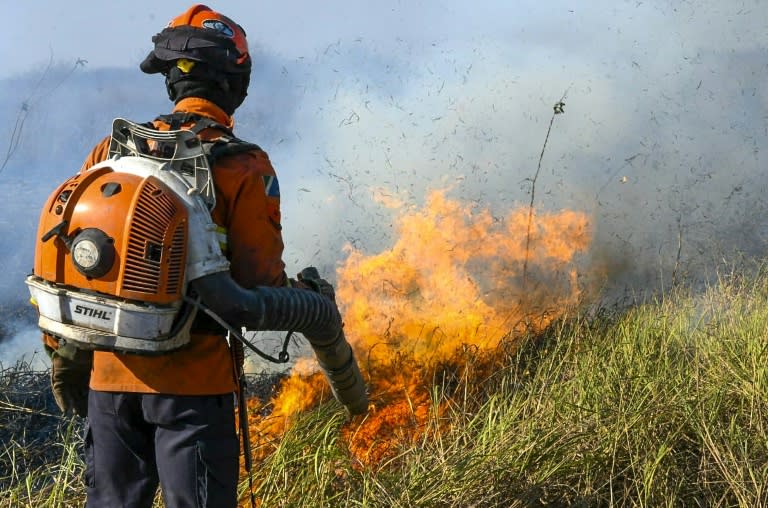 Photo diffusée par les autorités de l'Etat brésilien du Mato Grosso do Sul de pompiers luttant contre un incendie de forêt dans le biome du Pantanal, dans la région de Corumba, le 23 juin 2024 au Brésil (Handout)