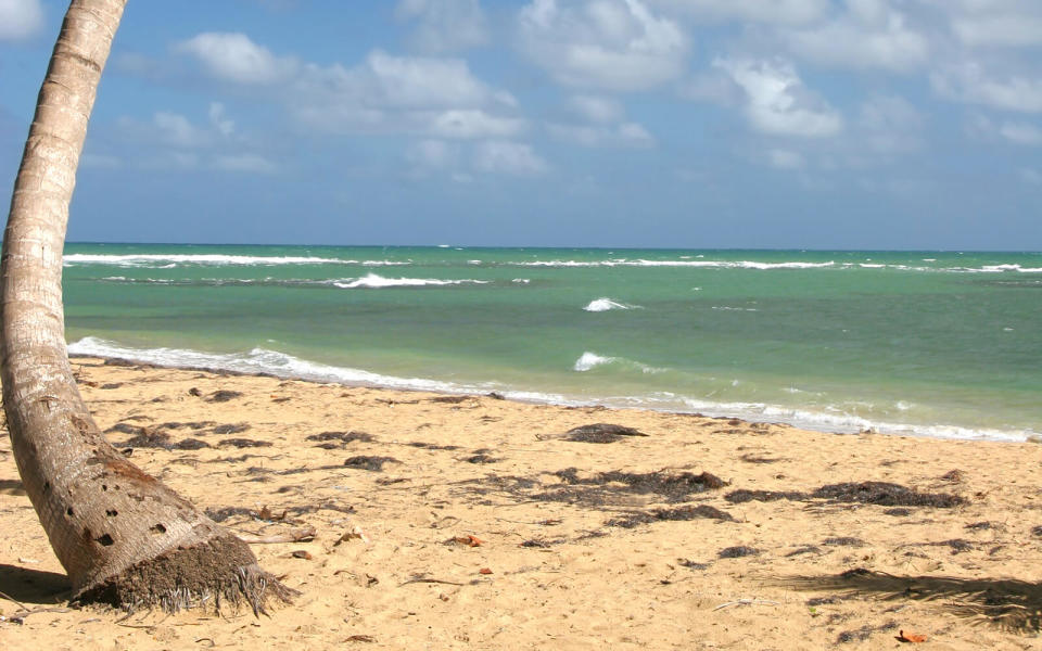 Playa Punta Popy