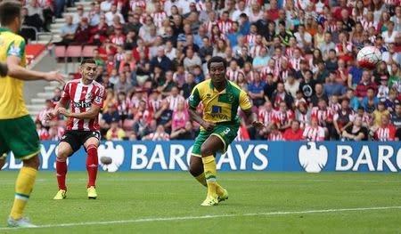 Football - Southampton v Norwich City - Barclays Premier League - St Mary's Stadium - 30/8/15 Dusan Tadic scores the second goal for Southampton Action Images via Reuters / Matthew Childs Livepic