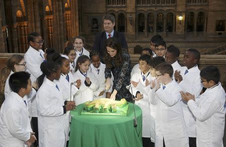 Britain's Catherine, Duchess of Cambridge cuts a cake with pupils from Oakington Manor Primary School, watched by Museum Director Sir Michael Dixon (REAR C), as she attends a children's tea party , to celebrate Dippy the Diplodocus's time in Hintze Hall, at the Natural History Museum in London, Britain November 22, 2016. REUTERS/Yui Mok/Pool