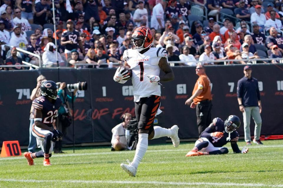 BENGALS-BEARS (AP)