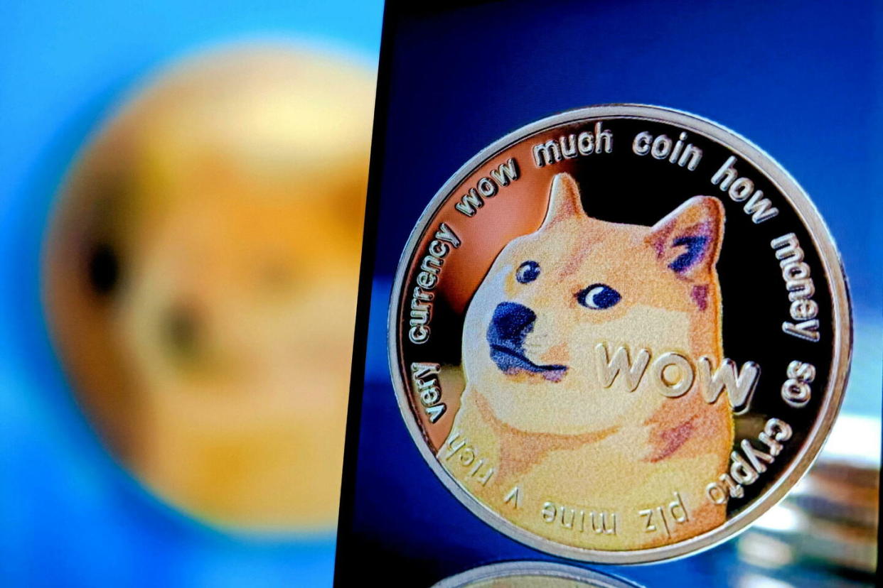 Kabosu est devenue le logo d'une cryptomonnaie baptisée « Dogecoin ».   - Credit:CFOTO/Sipa USA/SIPA