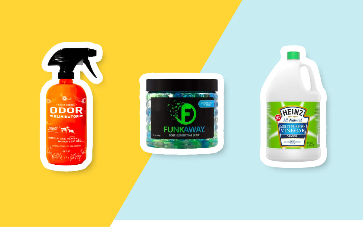 The 17 best odor eliminators of 2023 for every room in the house