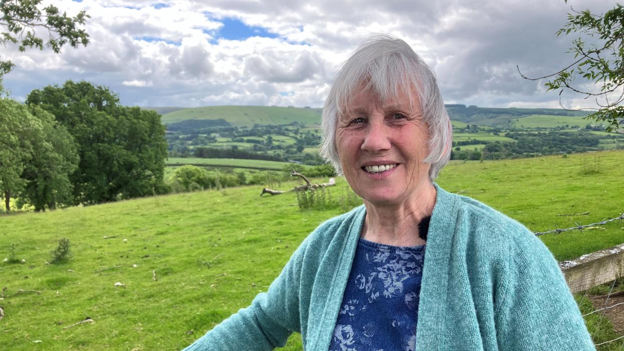 Dina Smith in turquoise cardigan leaning on a fence in green valleys