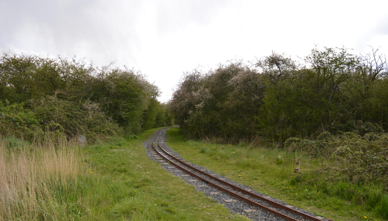 Madison Wright’s body was found in Wat Tyler Country Park In Pitsea, Essex. (Dudley Miles/Wikipedia/Creative Commons)