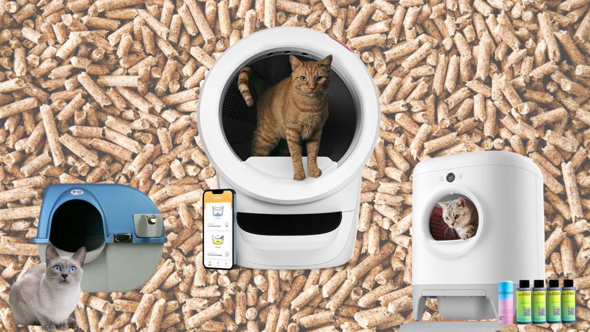 Clever self-cleaning litter box takes the stench out of managing cat waste