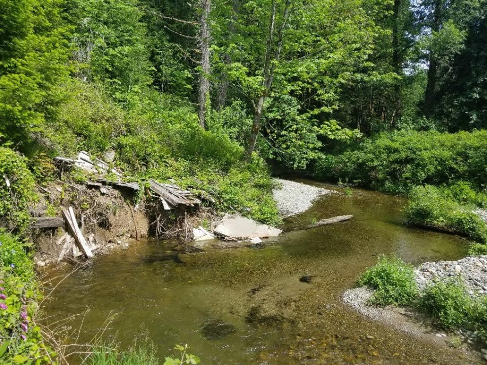 The remains of a pumphouse on the banks of Chico Creek in the Hidden Valley of the Rhododendron Preserve before it was cleared from the banks.