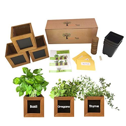 8) Indoor Herb Garden Kit