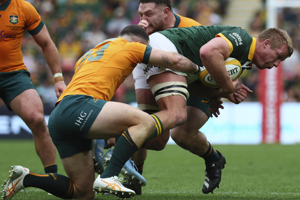 Back to reality for the Wallabies: World champions South Africa beat Australia 33-7