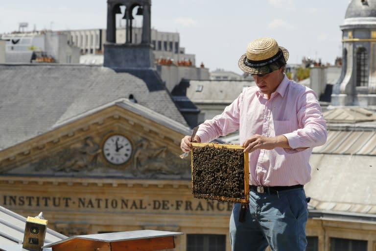 Urban rooftops are one of the ways Paris is fighting against the "worrying" decline in the bee population, a trend France recognized early on despite its elevated use of pesticides