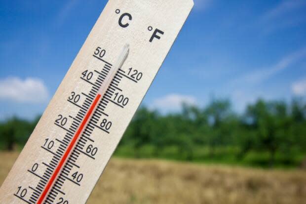 Parts of central Newfoundland are under a heat warning for Friday and Saturday. (iStock - image credit)