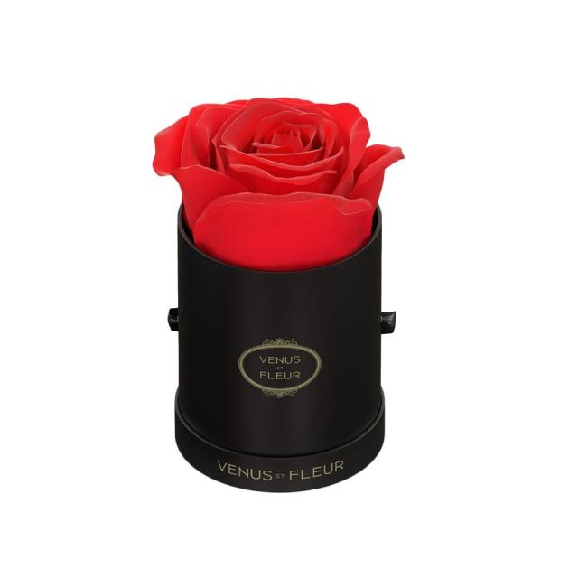 Black Roses Meaning, History, & Gift Guide - Venus et Fleur