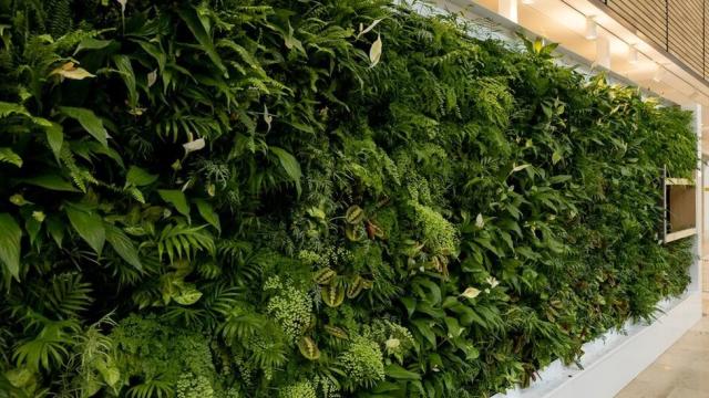 خرید فیلتر کربن گلخانه گیاهی استوانه