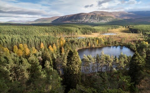 This series will be based in the Cairngorms - Credit: Getty