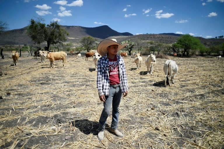 Federico Botello, who migrated to the US with his brothers in search of work and better opportunities a few years ago, now lives in his hometown, Piedras Negras in Guanajuato state, Mexico, where he is seen March 21, 2017