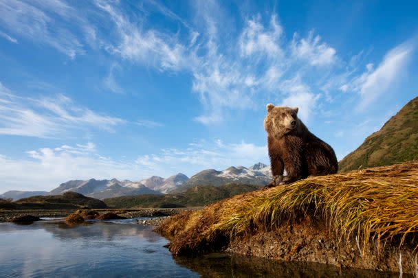 Katmai National Park And Preserve