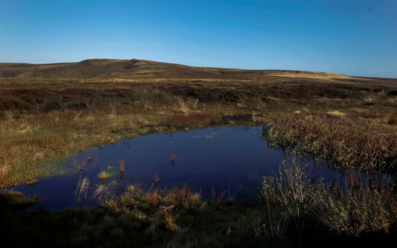 A flooded area of Peat bog is seen on Black Ashop moor near Glossop