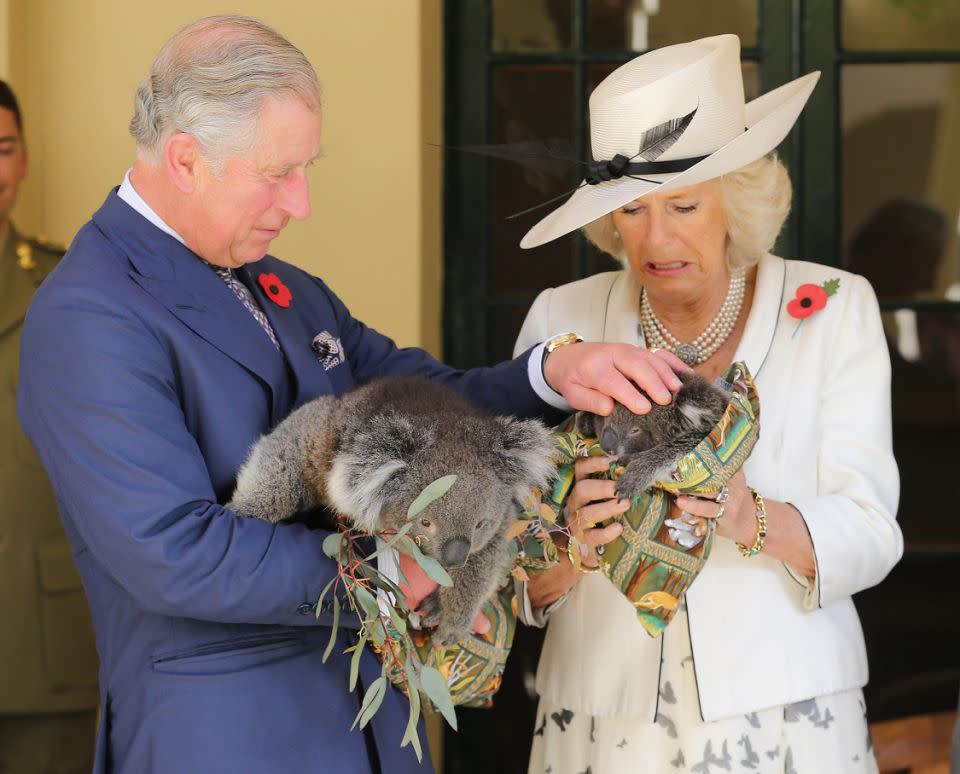 It's believed Camilla wants to ensure Prince Charles has the support of the government over making him the head of the Commonwealth should the Queen step down. Photo: Getty Images