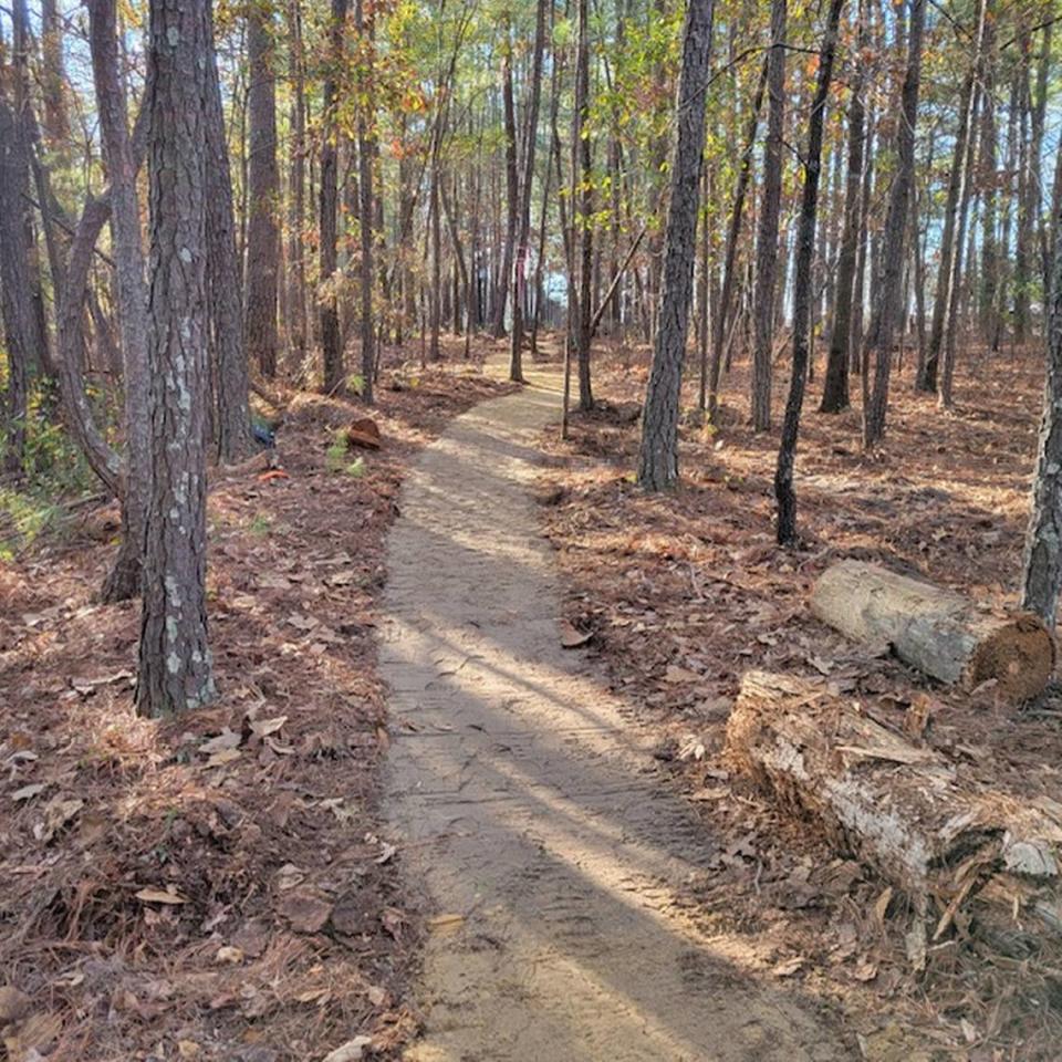 A section of the Palmetto Trail near Columbia. The hiking path will eventually provide a continuous hiking route from the southern Appalachians to the Atlantic Ocean in South Carolina.