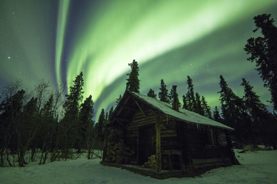 northern lights at denali national park during the winter