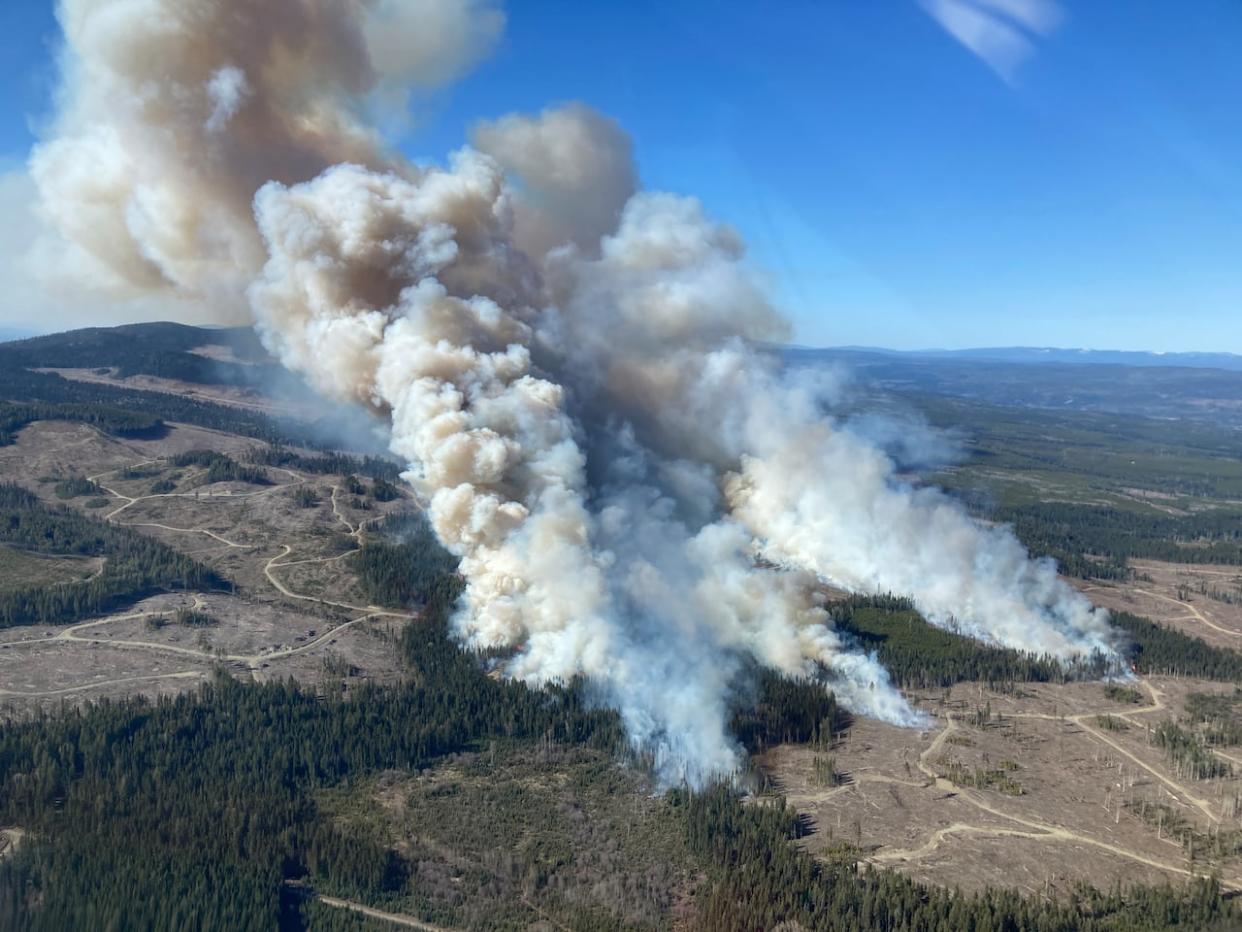 The out-of-control Burgess Creek Wildfire burns on April 20, 2024 about 50 kilometres south of Quesnel, B.C. It is one of 7 human-caused wildfires reported in the Cariboo region in a single afternoon, according to B.C. Wildfire Service. (B.C. Wildfire Service - image credit)