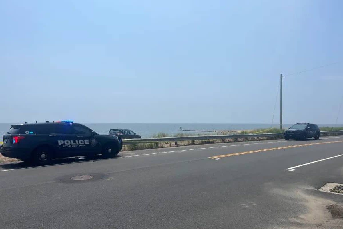 Twin toddlers recovering after father allegedly tried to drown them in ocean (WTNH)