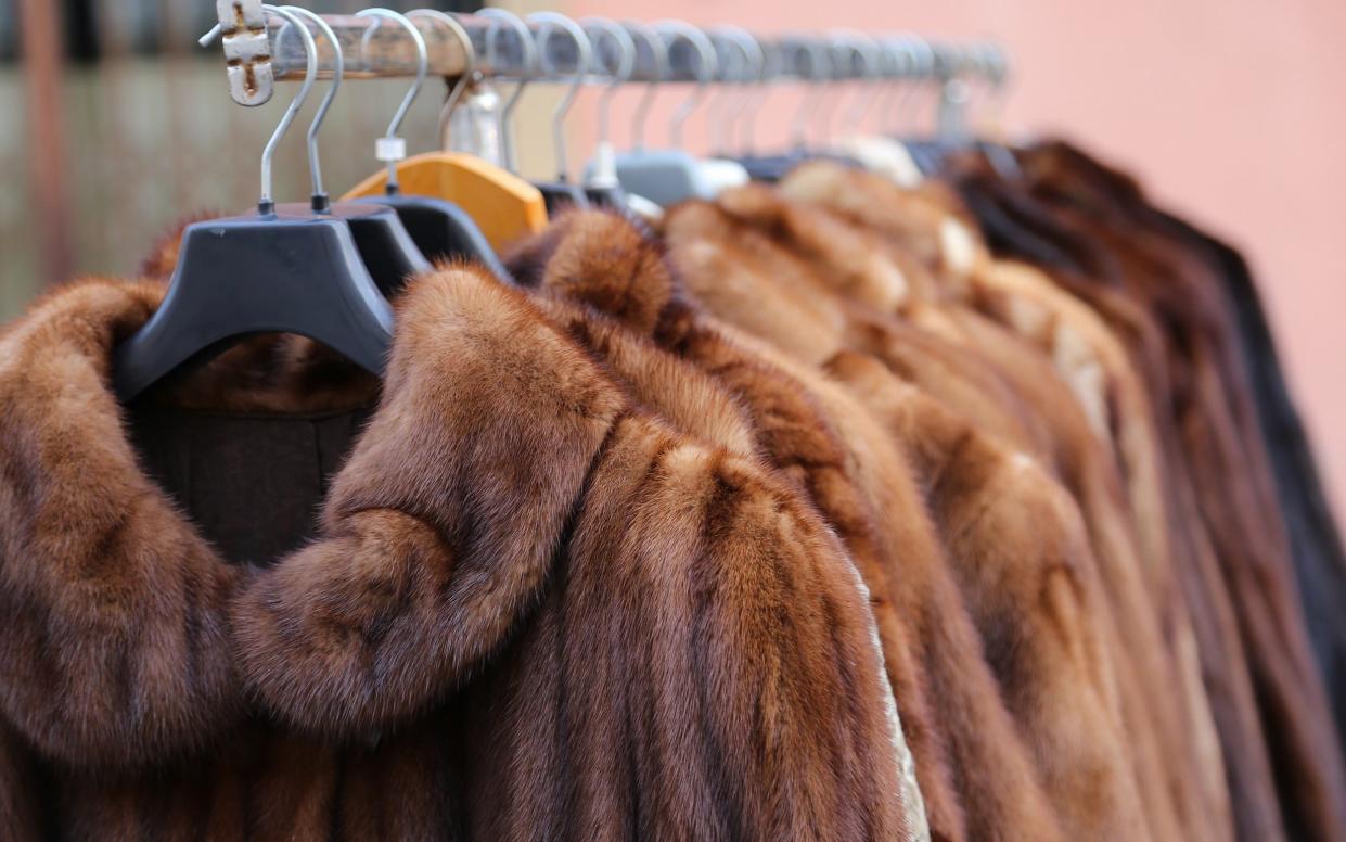 Fur coats - iStockphoto 