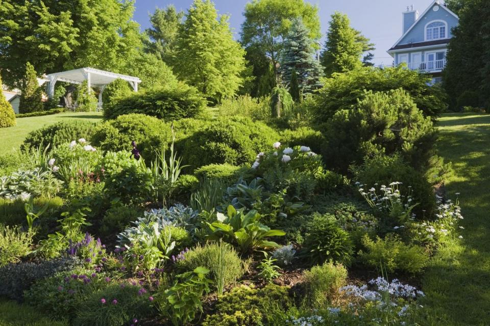 <p>Perennial plants surround a white wooden pergola in this plentiful backyard garden.</p><p><strong><a href="https://www.countryliving.com/home-design/decorating-ideas/g25596084/pergola-ideas/" rel="nofollow noopener" target="_blank" data-ylk="slk:Read more stylish pergola ideas;elm:context_link;itc:0;sec:content-canvas" class="link ">Read more stylish pergola ideas</a>.</strong></p><p><a class="link " href="https://go.redirectingat.com?id=74968X1596630&url=https%3A%2F%2Fwww.wayfair.com%2Fkeyword.php%3Fprefetch%3Dfalse%26keyword%3Dpergola&sref=https%3A%2F%2Fwww.countryliving.com%2Fgardening%2Fgarden-tours%2Fg1432%2Flandscaping-ideas%2F" rel="nofollow noopener" target="_blank" data-ylk="slk:SHOP PERGOLAS;elm:context_link;itc:0;sec:content-canvas">SHOP PERGOLAS</a></p>