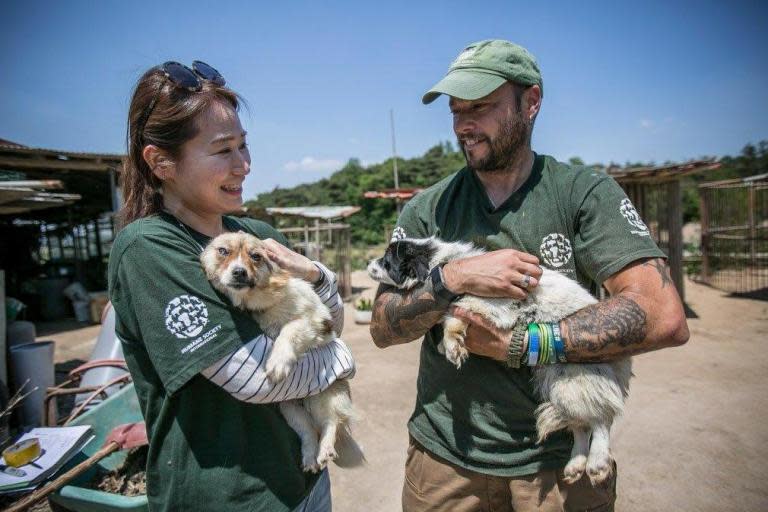 Dogs and puppies rescued from being made into soup at meat farm in South Korea