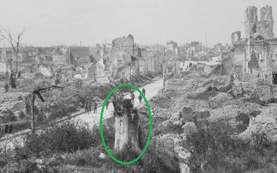 A circle marks the spot where the damaged tree stood amid the destruction in Ypres.  - Facebook