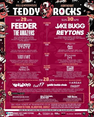 Bournemouth Echo: póster promocional de Teddy Rocks