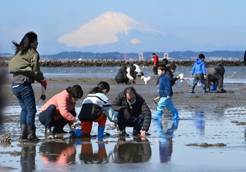 ▲近年來不少中國人在日本非法捕撈，更鎖定伊勢龍蝦、鮑魚等高級食材。圖為日本民眾在千葉縣富津市海灘挖貝類，示意圖與本新聞無關。（圖／美聯社／達志影像）