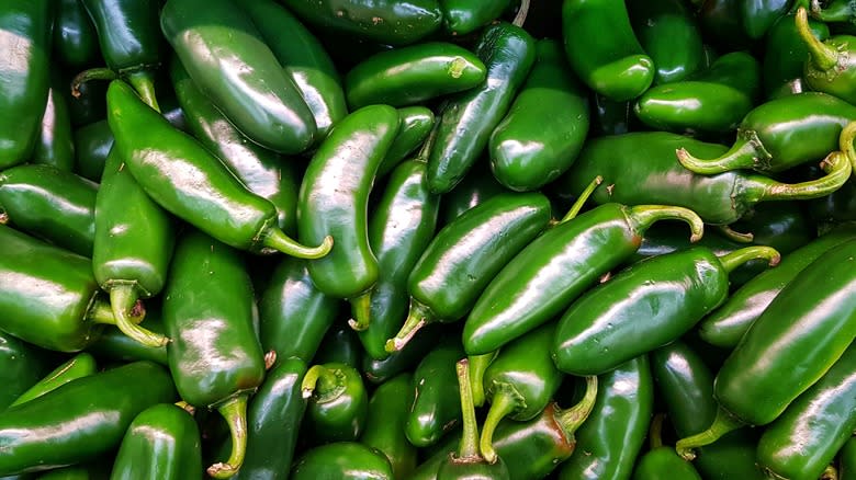 Close-up of jalapeño peppers
