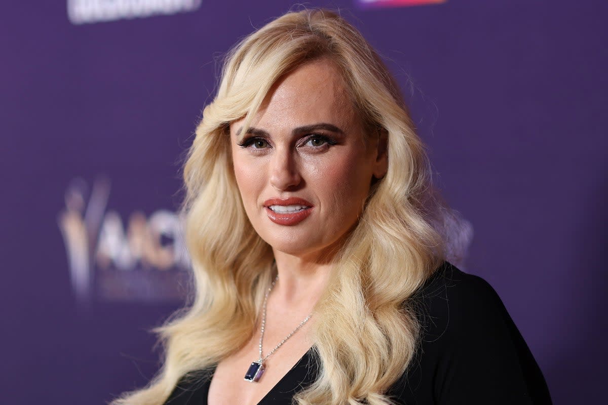 Rebel Wilson has reflected on her Hollywood career (Getty)