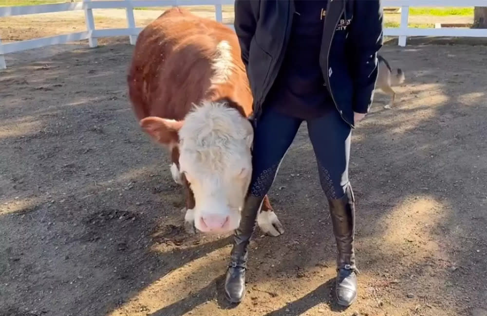 Kaley Cuoco has a new rescue pet cow credit:Bang Showbiz